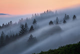 Mist Evening Poster och Canvastavla