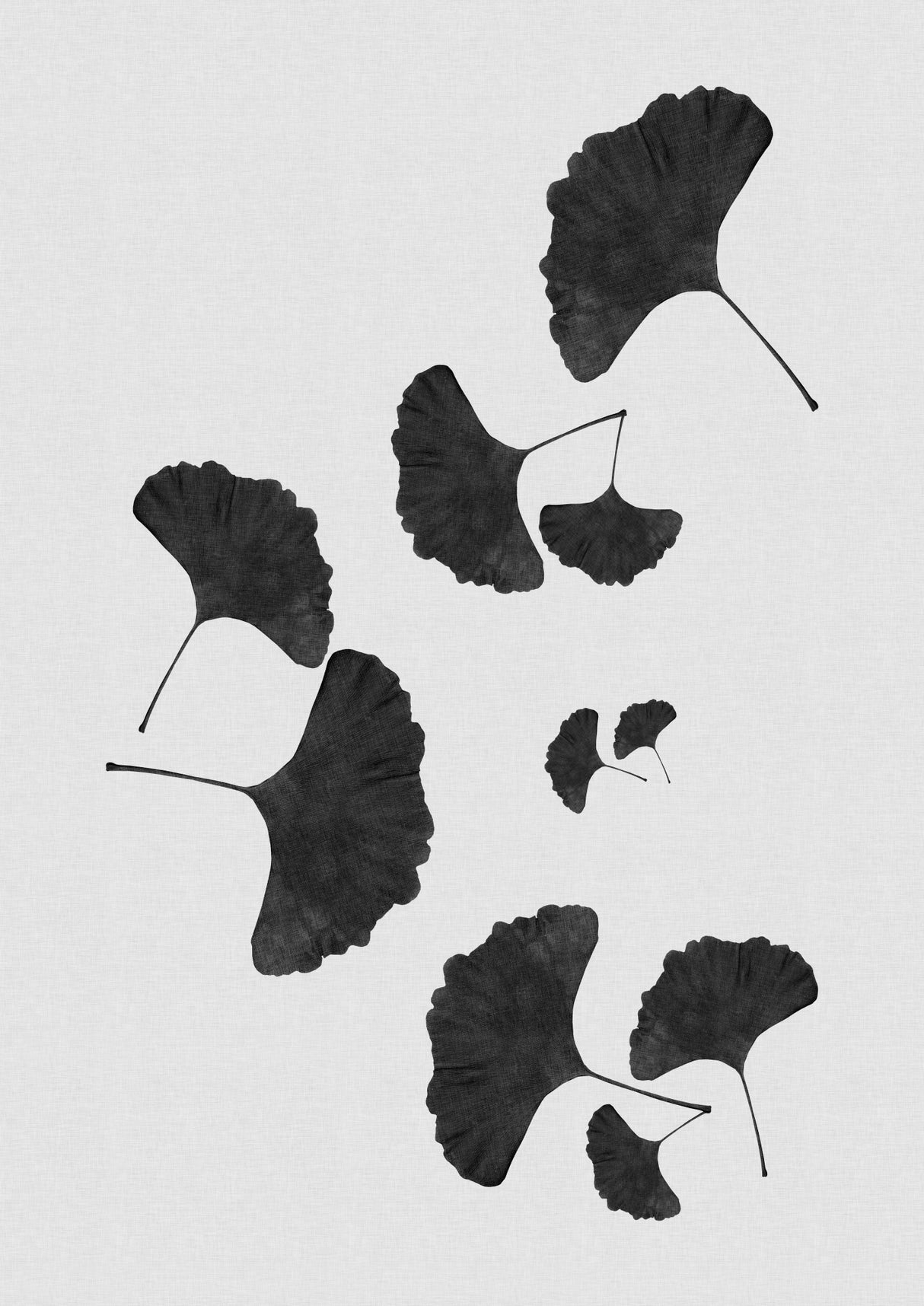 Ginkgo Leaf Black & White I Poster och Canvastavla