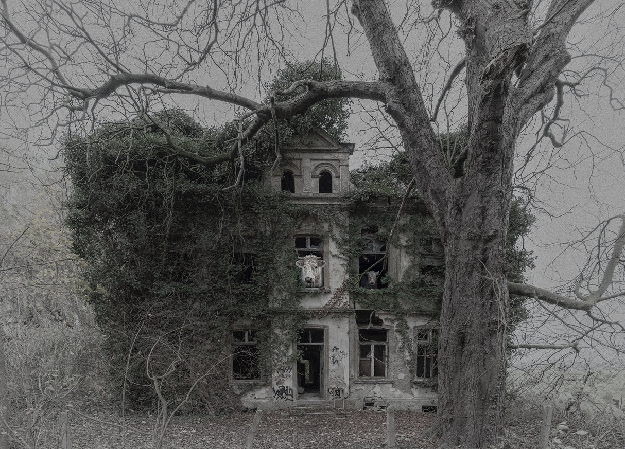 The Last Inhabitants Poster och Canvastavla