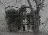 The Last Inhabitants Poster och Canvastavla