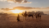 Last lights on desert Poster och Canvastavla