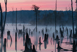Lake @ Morning #2 Poster och Canvastavla