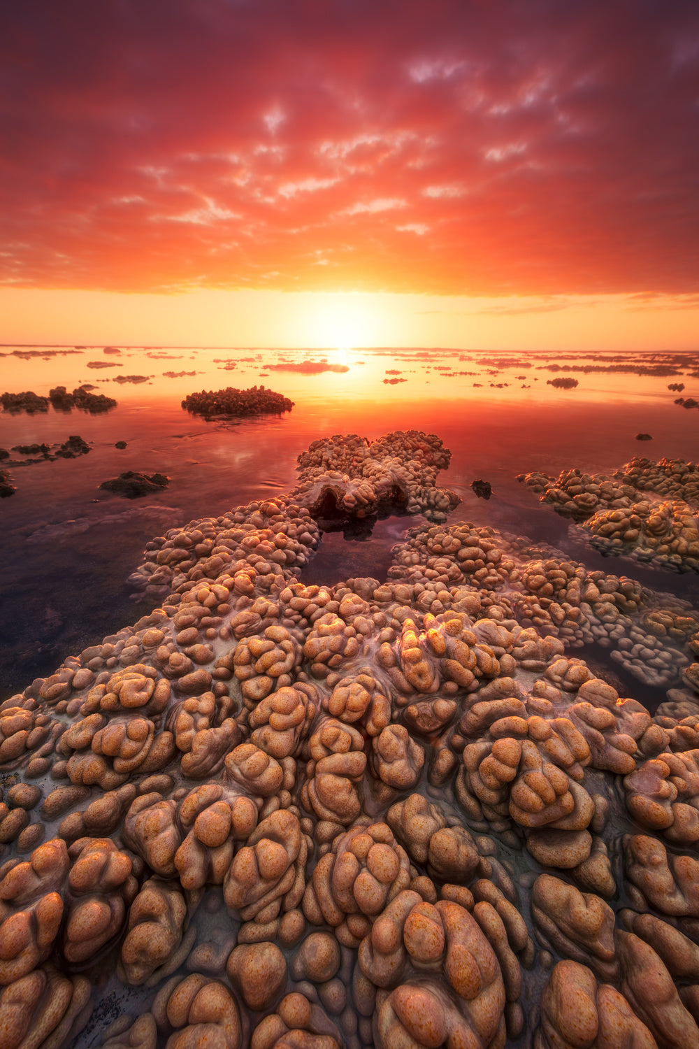 Low tide on the lagoon of Saint Leu. Poster och Canvastavla