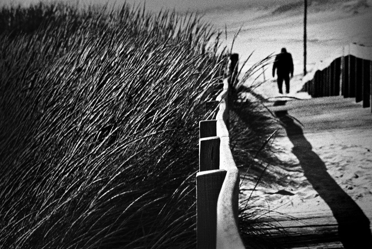 A Place to Survive Poster och Canvastavla