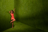 Lady in red Poster och Canvastavla