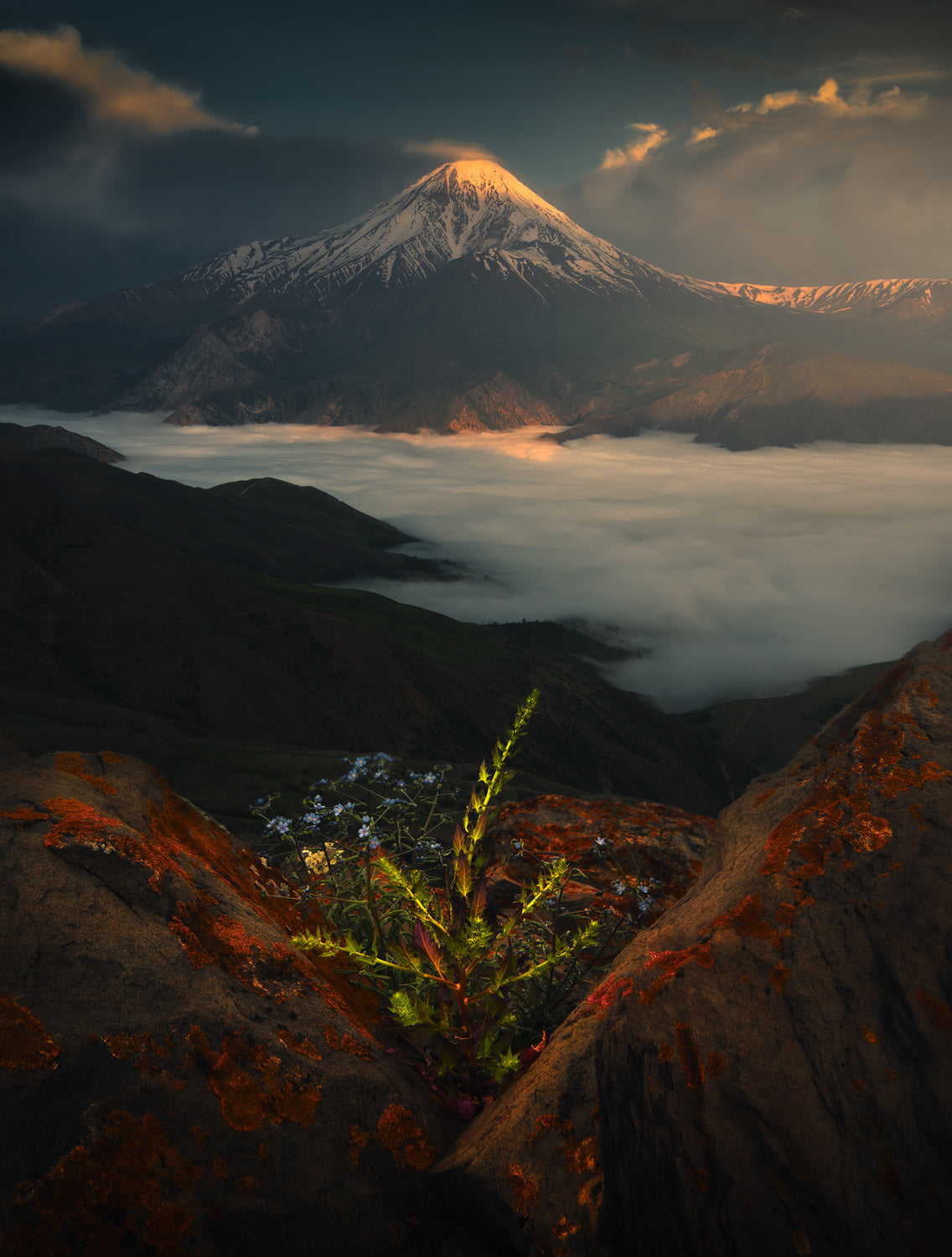 Mount Damavand in Spring Poster och Canvastavla