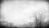 Racing in the fog Poster och Canvastavla