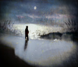 Silver moonlight Poster och Canvastavla