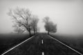 Road to Infinity Poster och Canvastavla