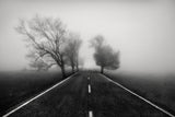 Road to Infinity Poster och Canvastavla