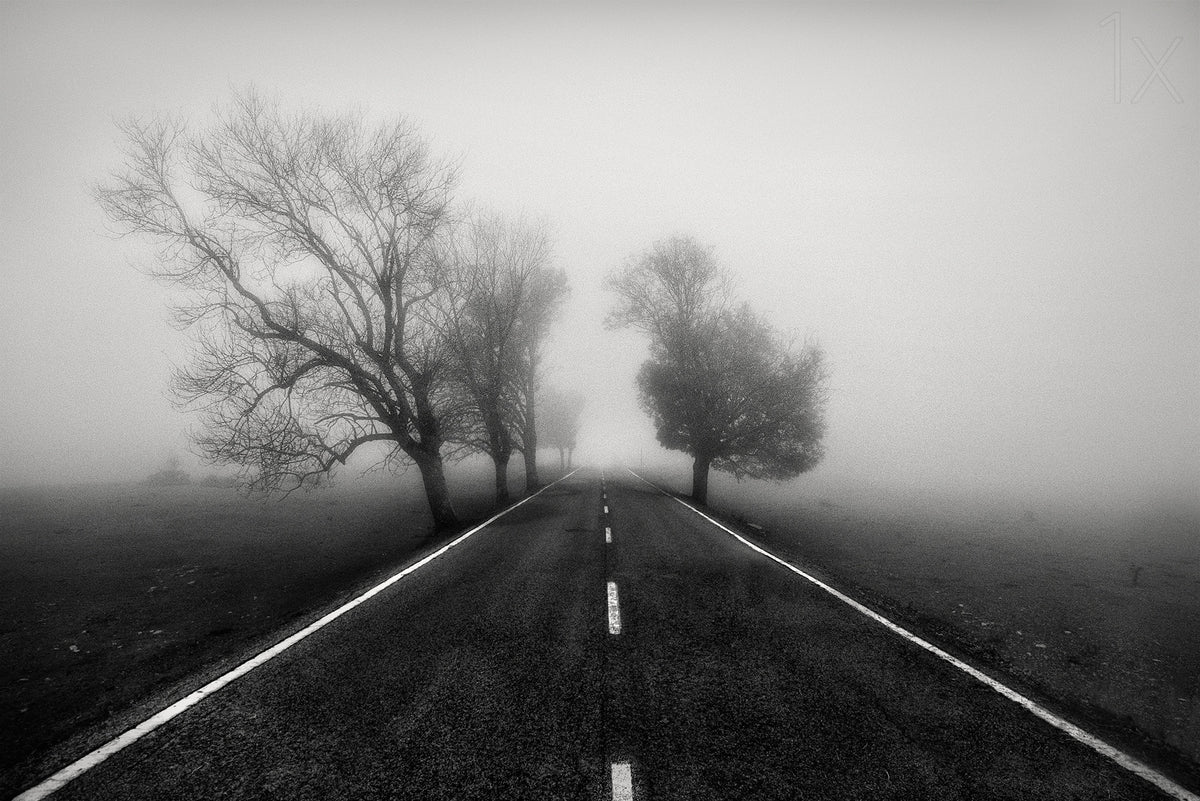 Road to Infinity Poster och Canvastavla