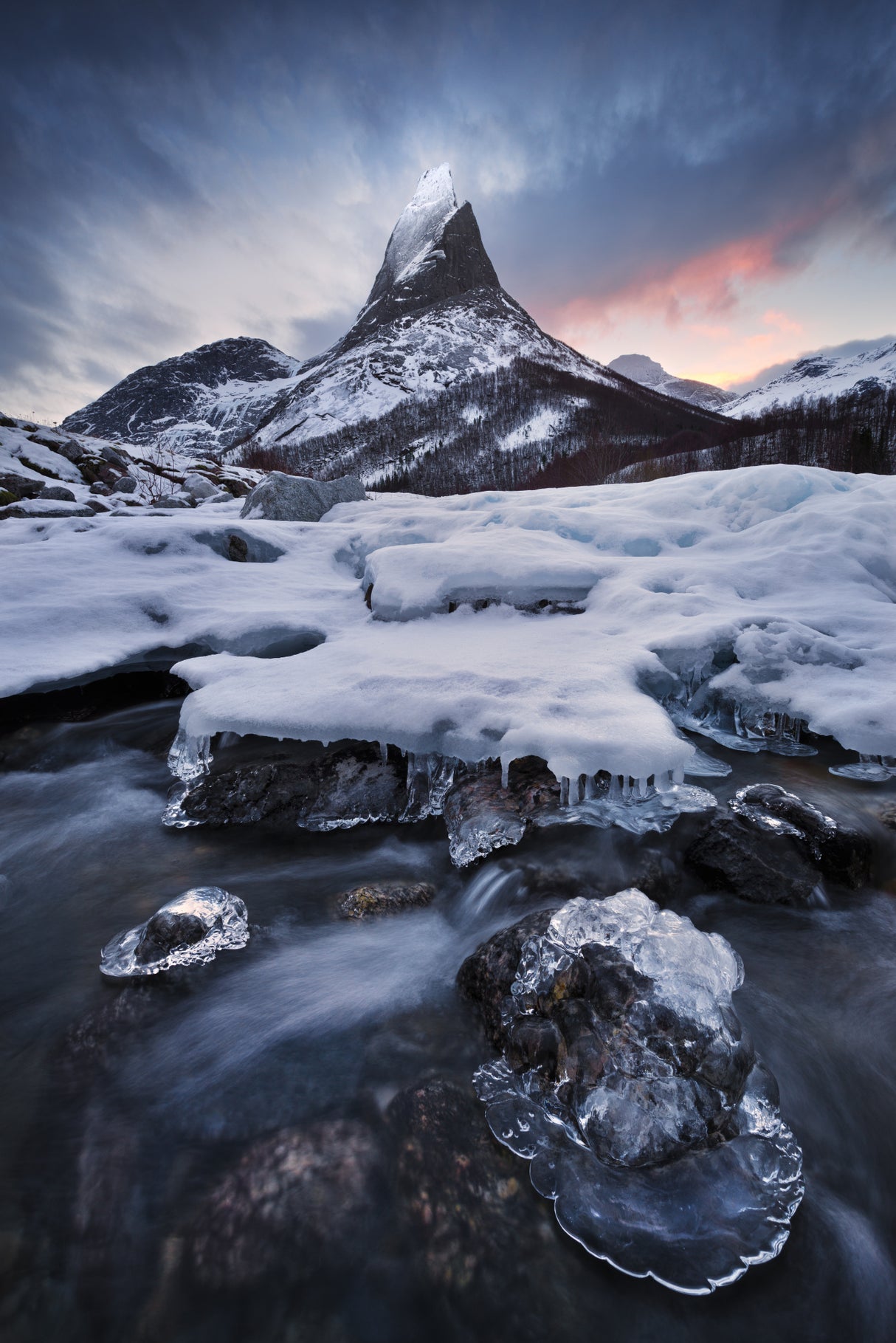 Icy Coronation Poster och Canvastavla
