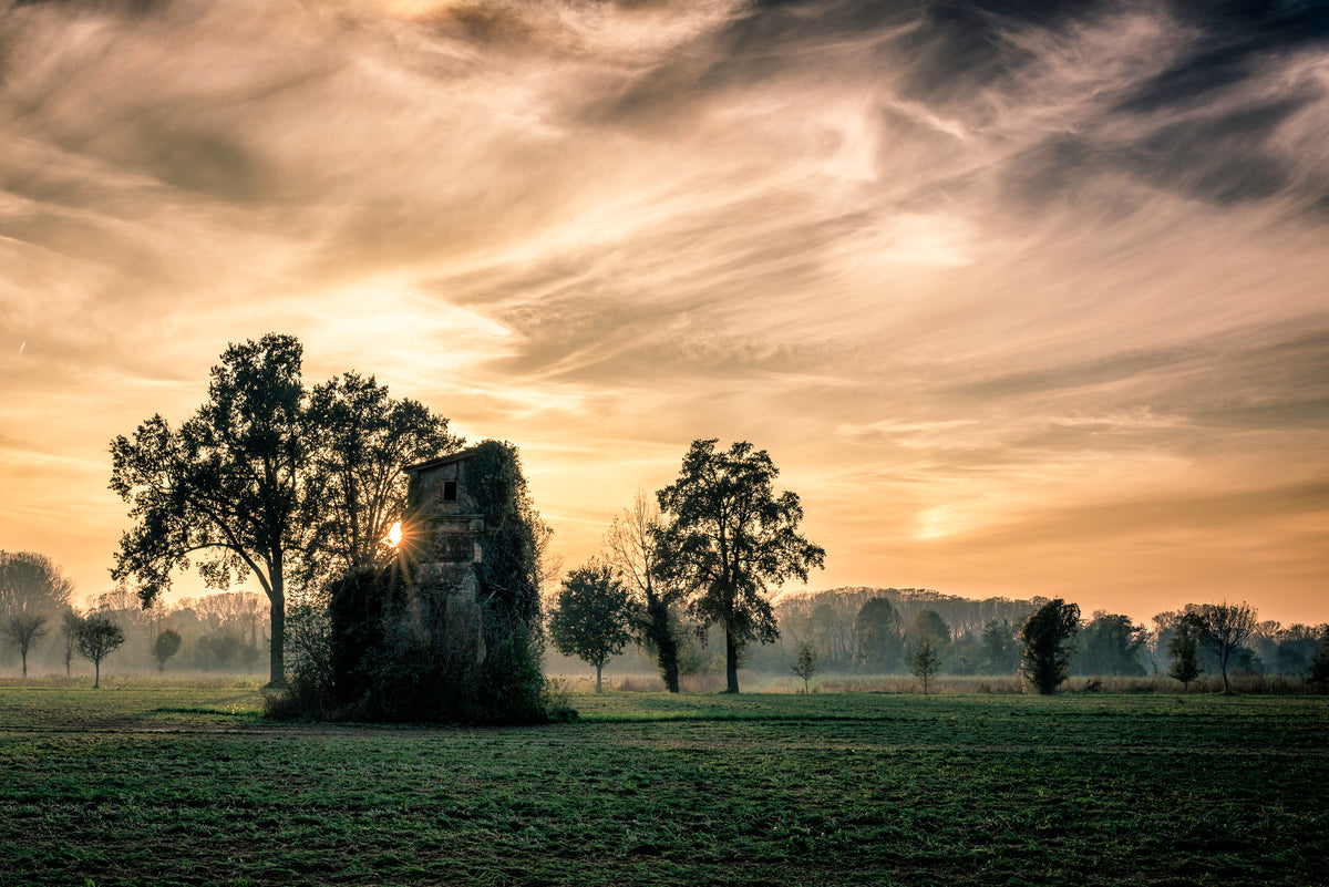 Old abandoned house covered by vegetation at sunset Poster och Canvastavla