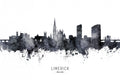 Limerick Ireland Skyline Poster och Canvastavla