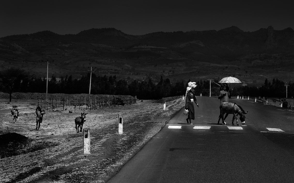 Road crossing Poster och Canvastavla