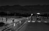 Road crossing Poster och Canvastavla