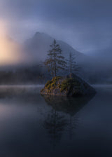 Misty Morning Solitude Poster och Canvastavla