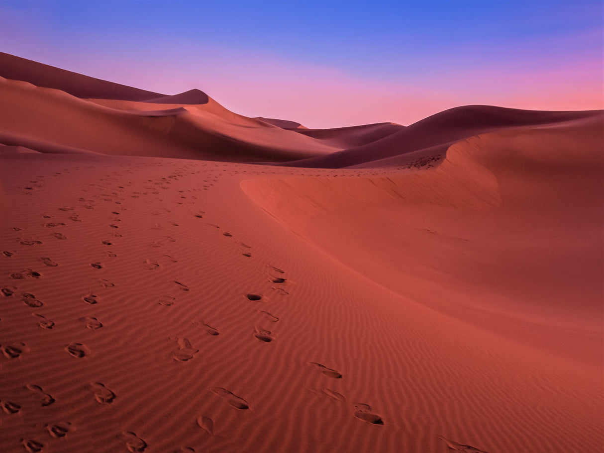 The colors of the desert at sunset Poster och Canvastavla