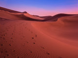The colors of the desert at sunset Poster och Canvastavla