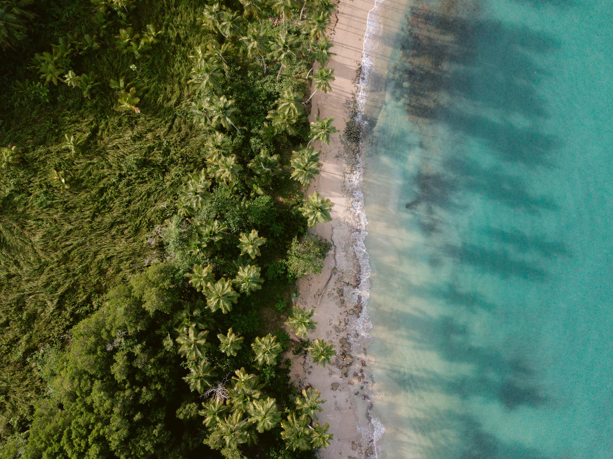 Green Beach from Above 2 Poster och Canvastavla