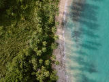Green Beach from Above 2 Poster och Canvastavla