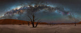 DeadVlei Poster och Canvastavla