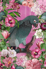 The Parrots Paradise Garden 3 Poster och Canvastavla