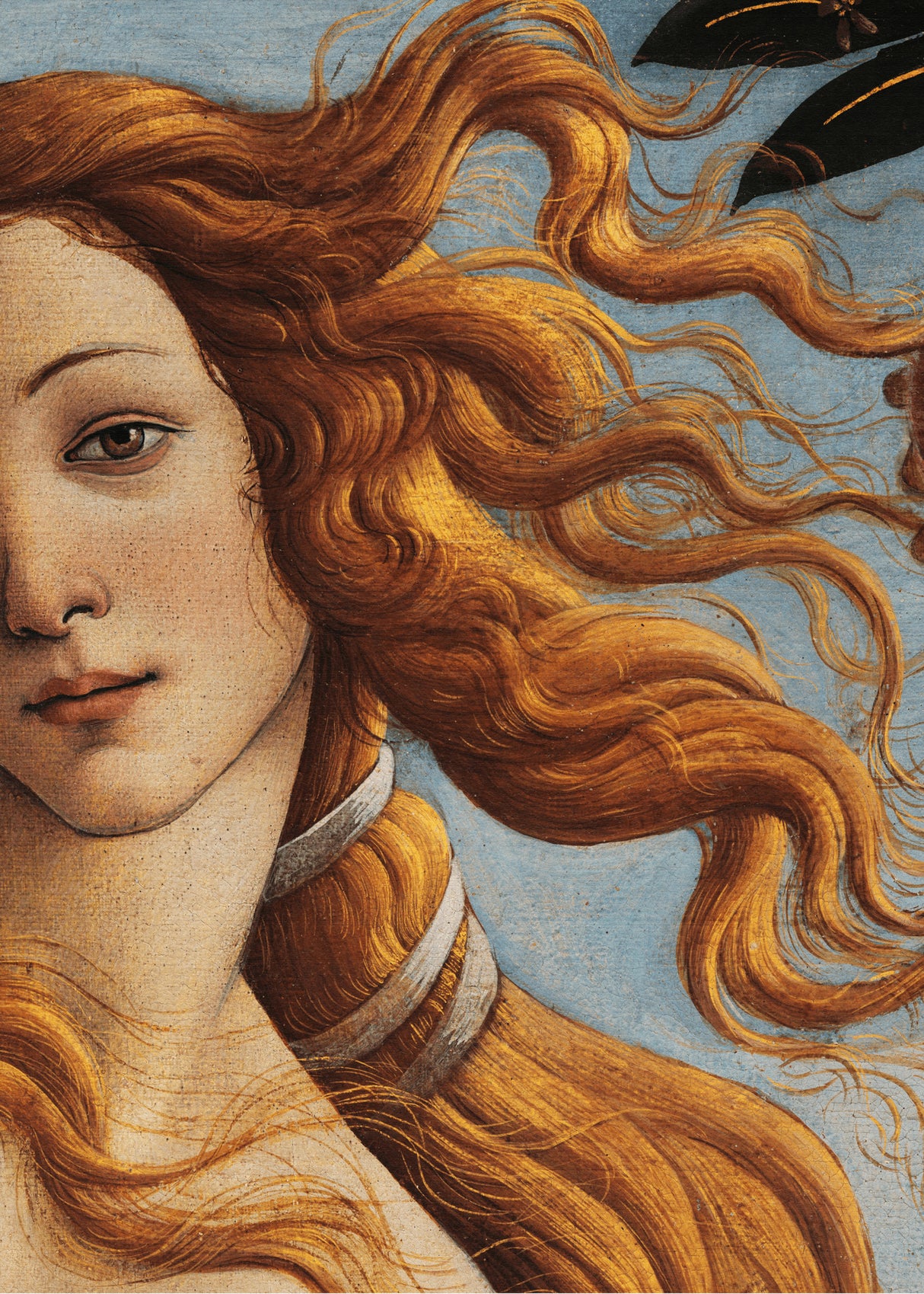 The Birth of Venus by Sandro Botticelli Poster och Canvastavla