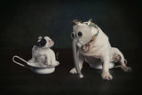 I do not stink Paco, yes you do Mambo Poster och Canvastavla