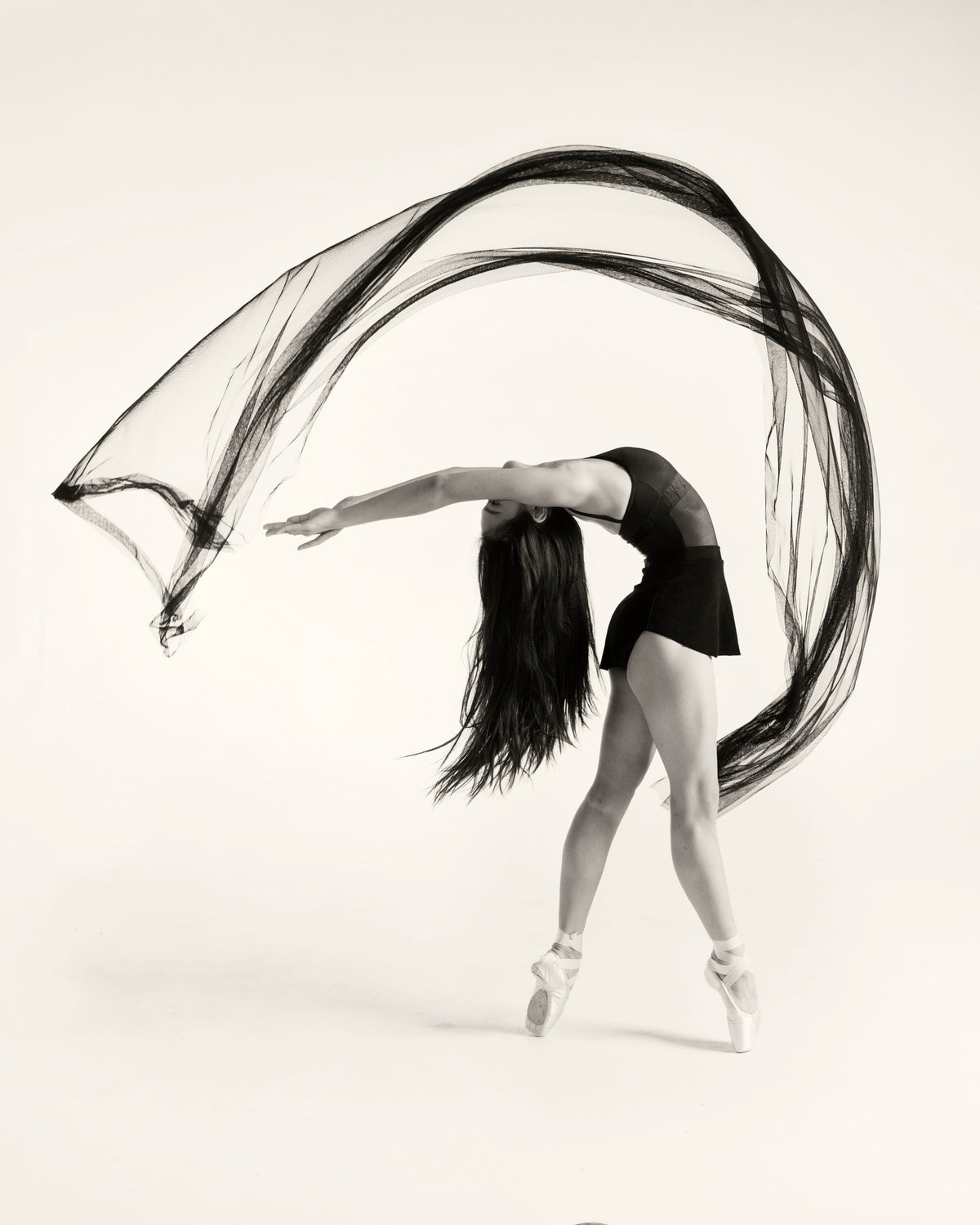 Double Arch Poster och Canvastavla