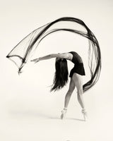 Double Arch Poster och Canvastavla