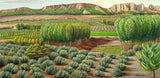 Bright Morning In Alcudia Poster och Canvastavla