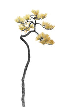 Bonsai Tree 05 Poster och Canvastavla