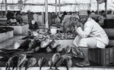 Fish market Poster och Canvastavla
