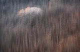 The Last Autumn Colors Poster och Canvastavla