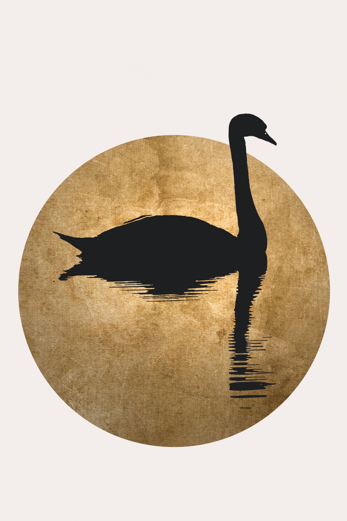 The Swan Gold Poster och Canvastavla