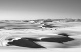 Western Desert Poster och Canvastavla