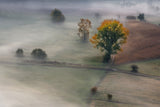 autumnal Meches Poster och Canvastavla