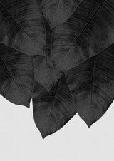 Banana Leaf Black &amp; White III Poster och Canvastavla