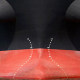 Giant of the sea Poster och Canvastavla