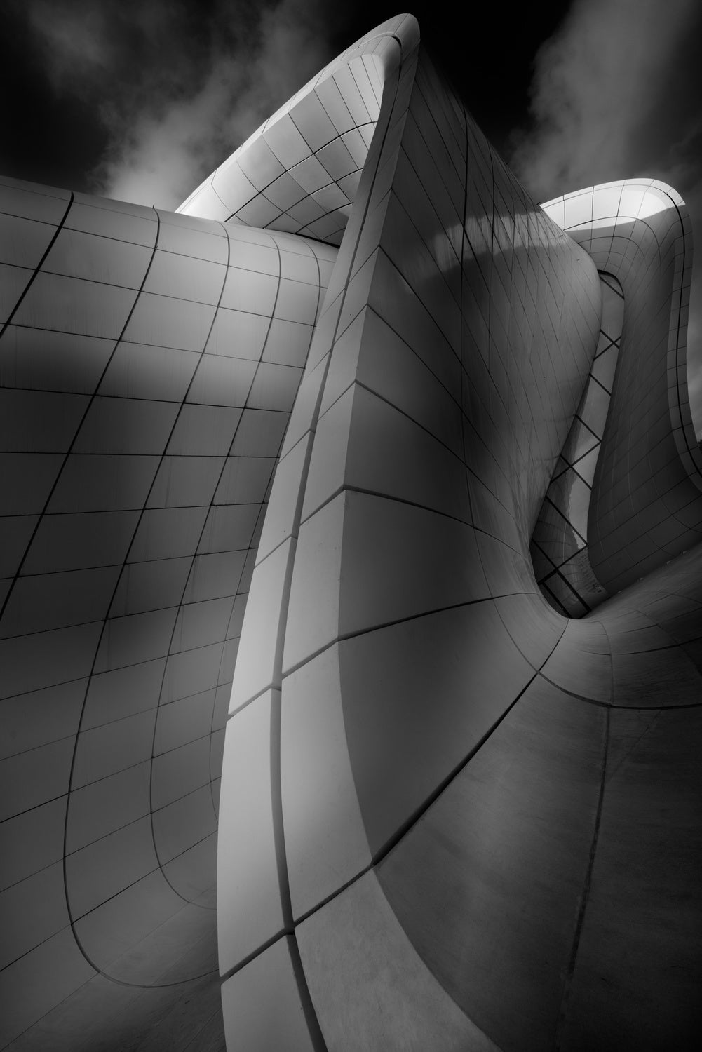 CURVES Poster och Canvastavla