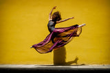Ballet dancer jumping Poster och Canvastavla