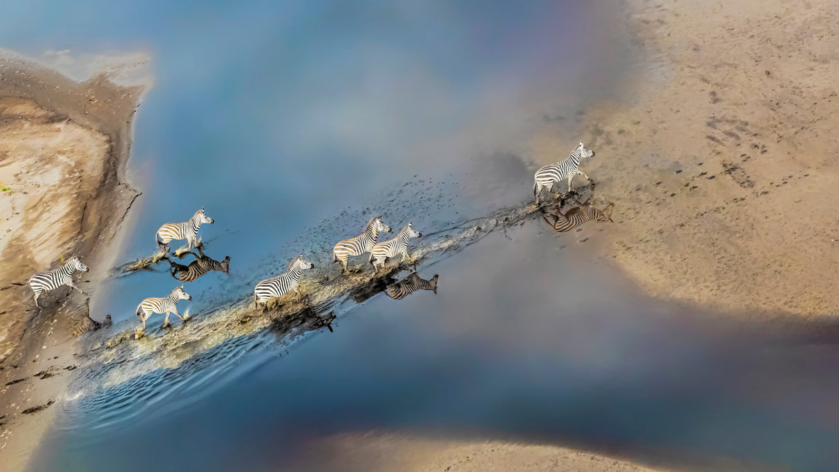 Crossing Tidal Flat Poster och Canvastavla