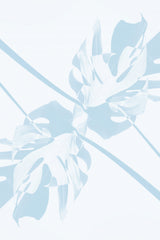 Monstera Kaleidoscope 06 Poster och Canvastavla