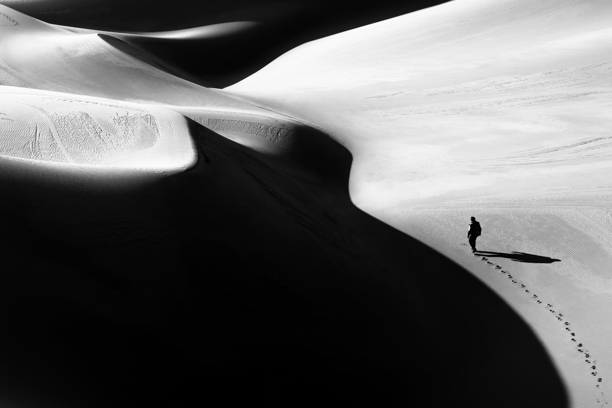 Shadow of the desert III Poster och Canvastavla