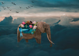 Sea elephant Poster och Canvastavla