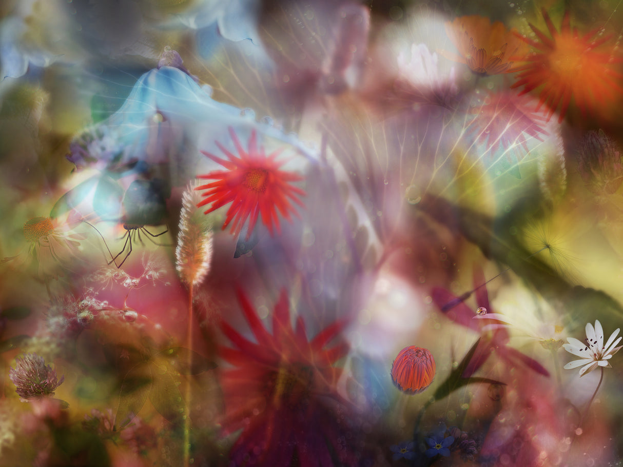 Summer memories Poster och Canvastavla