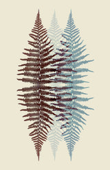 Chocolate and Teal Fern Poster och Canvastavla