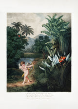 Cupid Inspiring Plants with Love from The Temple of Flora (1807) Poster och Canvastavla