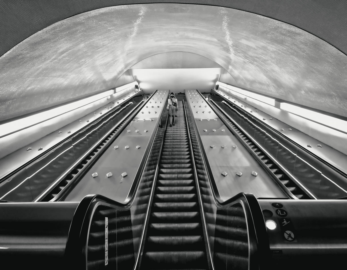 Escalators Poster och Canvastavla